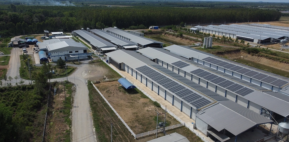 Aerial View Of A Large Factory Featuring An Extensive Array Of Solar Panels On Its Roof